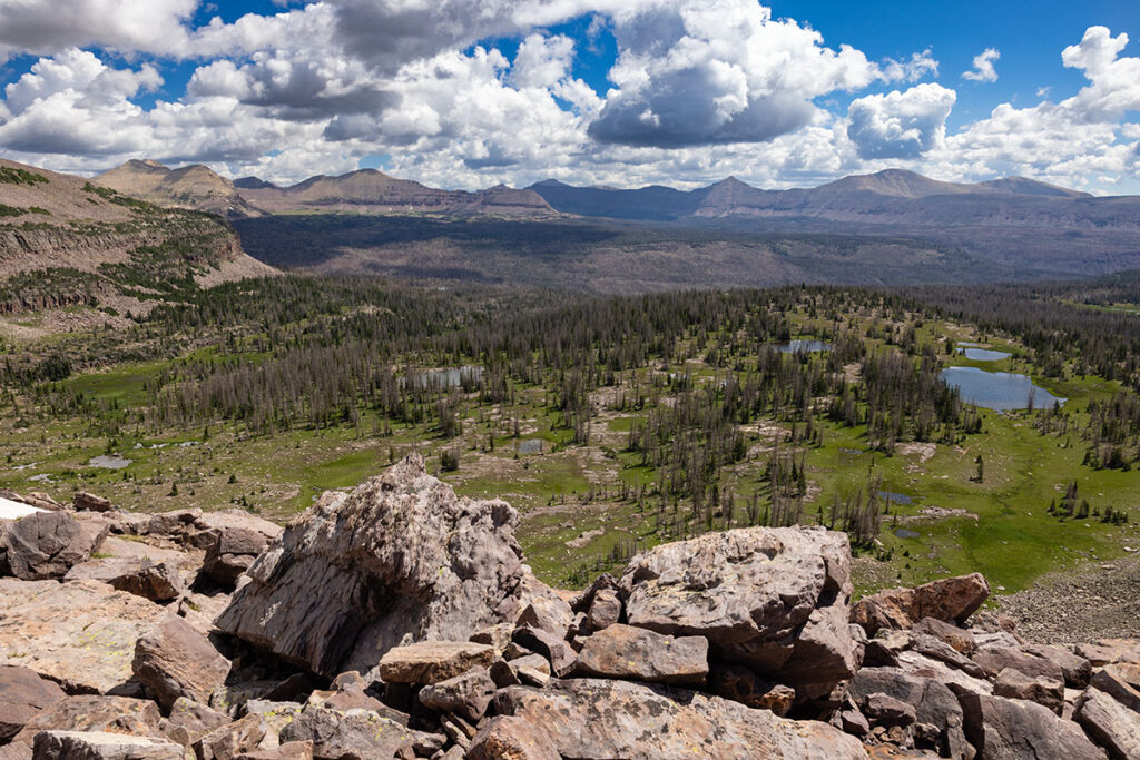 A sweeping landscape with rocks, pine trees and small lakes in the High Uintas Wilderness
