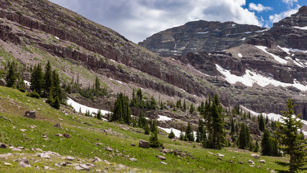 A high ridge striped with cliffs rises above pine forest