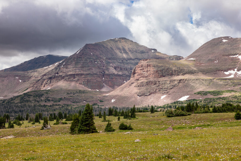 Gray clouds passing over a tall mountain peak rising above wildflower meadows