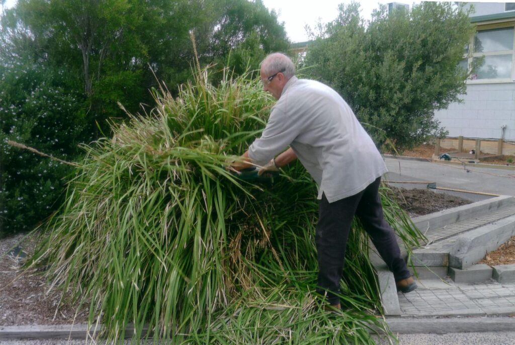 Eric Robinson, in work gloves and safety glasses, trims a bush outside a school building