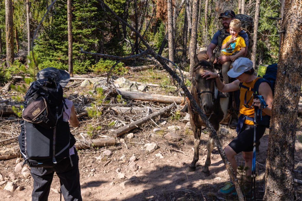 A group of hikers and a traveler on horseback gather on a forested trail