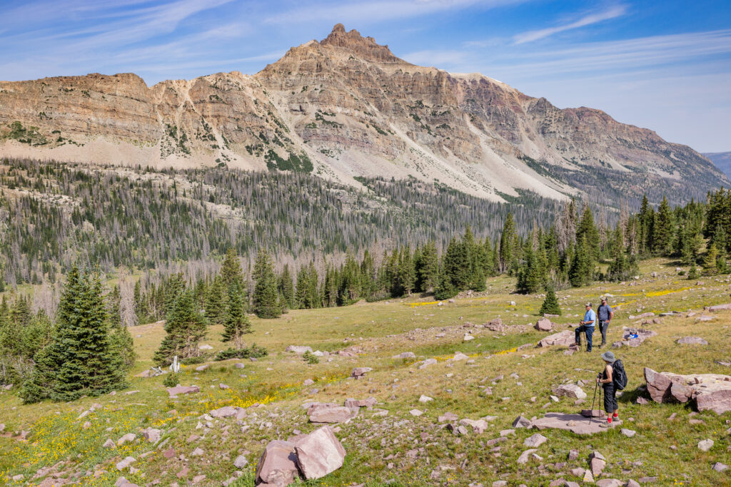 A group of hikers stand above timber line and below a barren mountain peak
