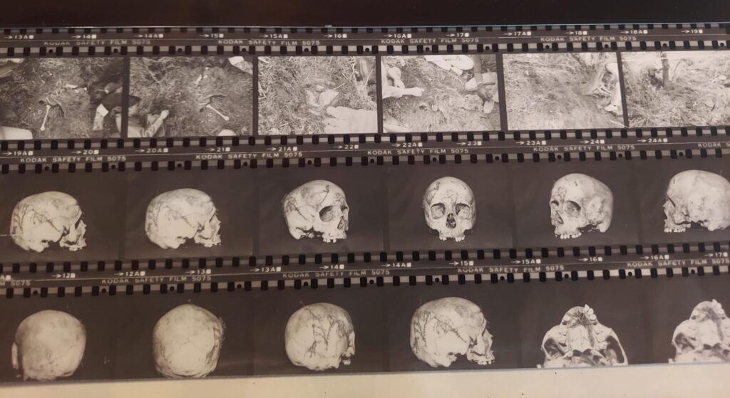 A police photo of a human skeleton